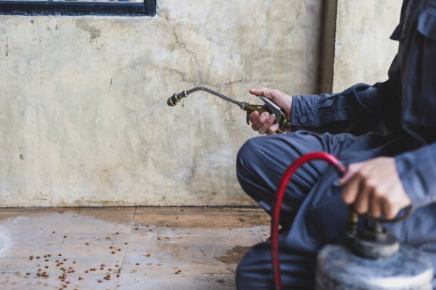 Best Pest Control Near Me  in Bonanza, GA